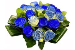 glitter blauwe rozen