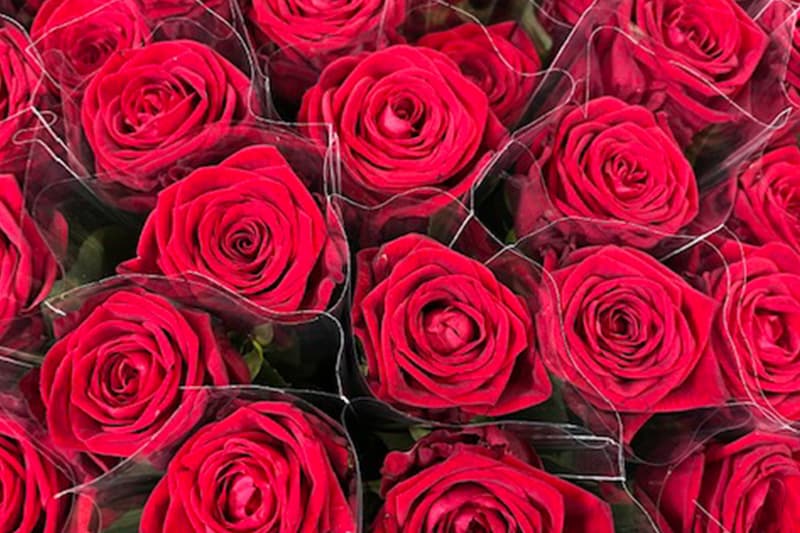 voor het geval dat Voorgevoel warm 100 - 250 - 500 - 1000 rode rozen per stuk ingepakt