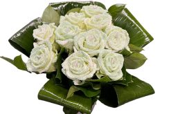 pearl love groene rozen