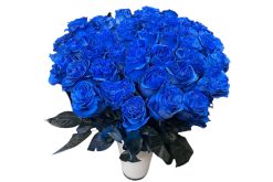 50 donker blauwe rozen boeket