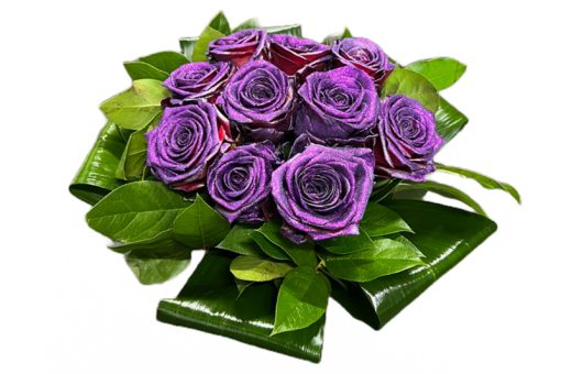 glitter paarse rozen