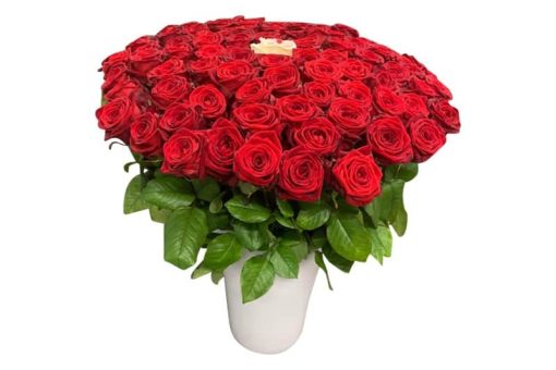Valentijn rode rozen