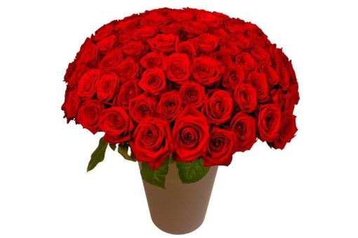 100 rode rozen boeket