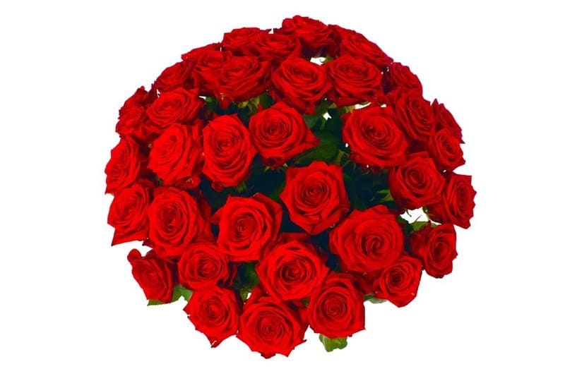 44 rode rozen bovenaf
