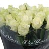 Witte avalanche rozen