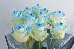 blue pearl love rozen