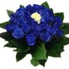 Blauwe rozen boeket