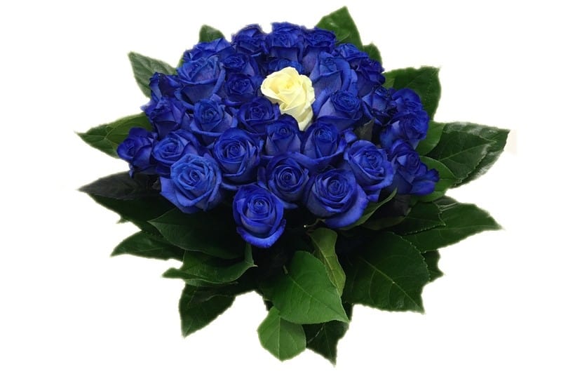 Blauwe rozen boeket