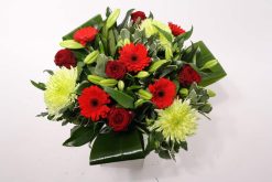 blush rood grote aantallen