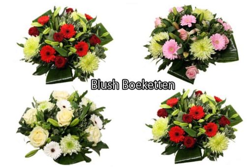 Blush grote aantallen boeketten