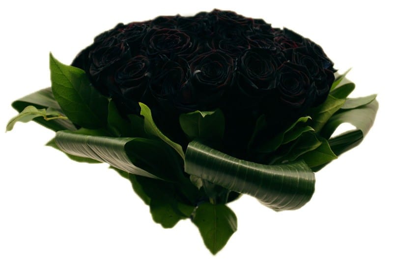 50 zwarte rozen boeket