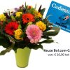 Bol.com Cadeaucard met bloemen in vaas