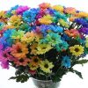 colors of hope bouquet