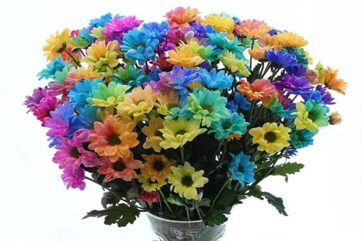colors of hope bouquet