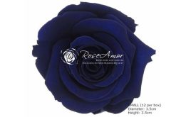 Conserven geprepareerde roos blauw