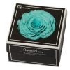 turquoise geconserveerde roos xxl