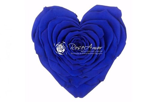 Blauwe roos in hartvorm