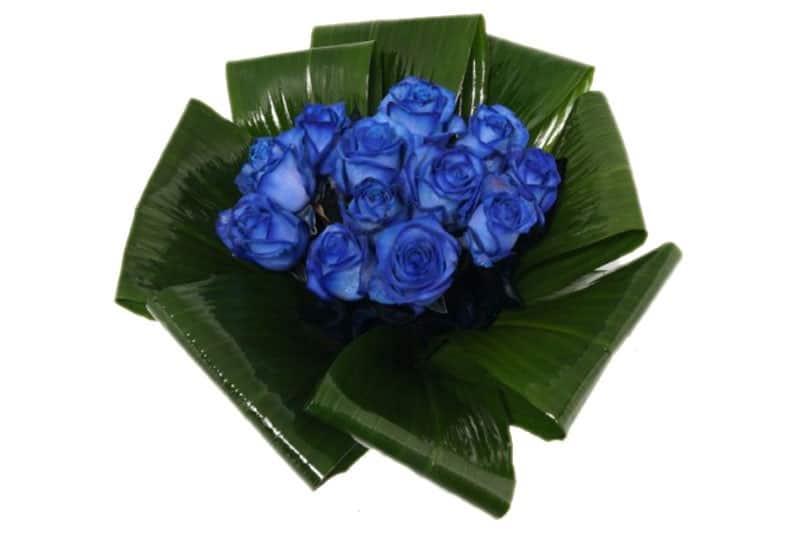 dozijn blauwe rozen boeket