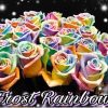 Rainbow frost roses