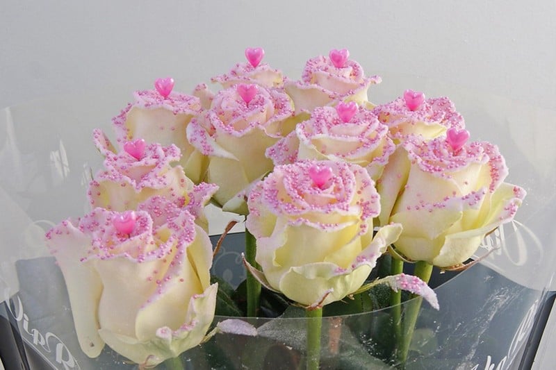 pearl pink love rozen