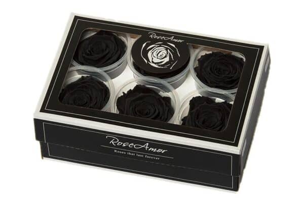 Geconserveerde rozen zwart XL