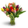 gemengde mix kleur tulpen