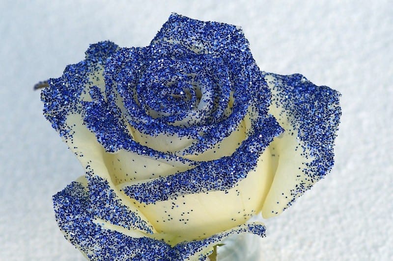 roos blauwe glitter