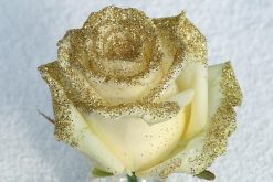 Goud kleurige glitter roos