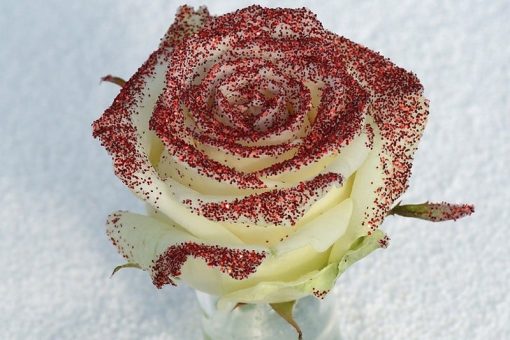 Glitter rode rozen