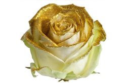 1 glitter goud roos per stuk verpakt