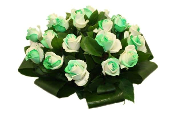 Rainbow groen witte rozen
