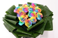 12 regenboog rozen