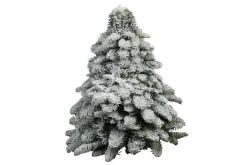 Kerstboom wit nep sneeuw