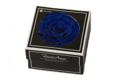 Blauwe geconserveerde roos XXL