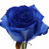1 blauwe roos per stuk verpakt
