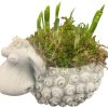 narcissen in keramiek schaap