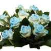 boeket pearl love blauwe rozen