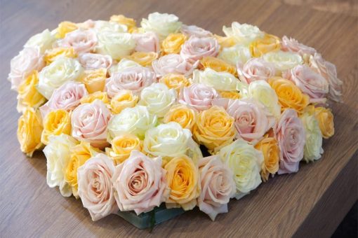 pastel rozen