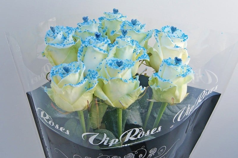 pearl blue love rozen