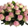 Pearl love roses