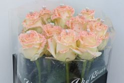 Oranje pearl love rozen