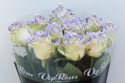 violet pearl love roses
