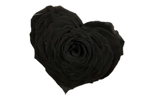 zwarte geconserveerde roos hart vorm