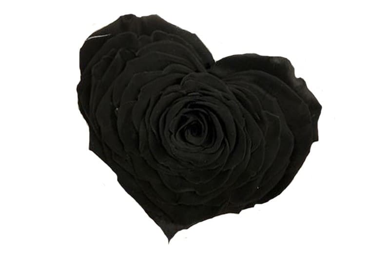 zwarte hart roos longlife preserved