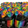 rainbow roses