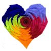 regenboog-geconserveerde-roos-hart-vorm