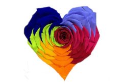 regenboog-geconserveerde-roos-hart-vorm