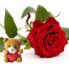 Valentijn rode roos met beertje