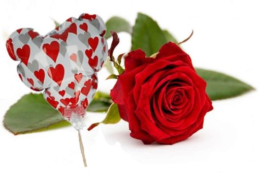 Rode roos + hartjes ballon Valentijnsdag 2019