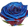 Rode rozen blauwkleurige glitters